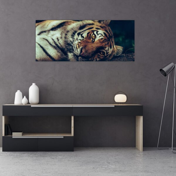 Slika - Sibirski tigar (120x50 cm)