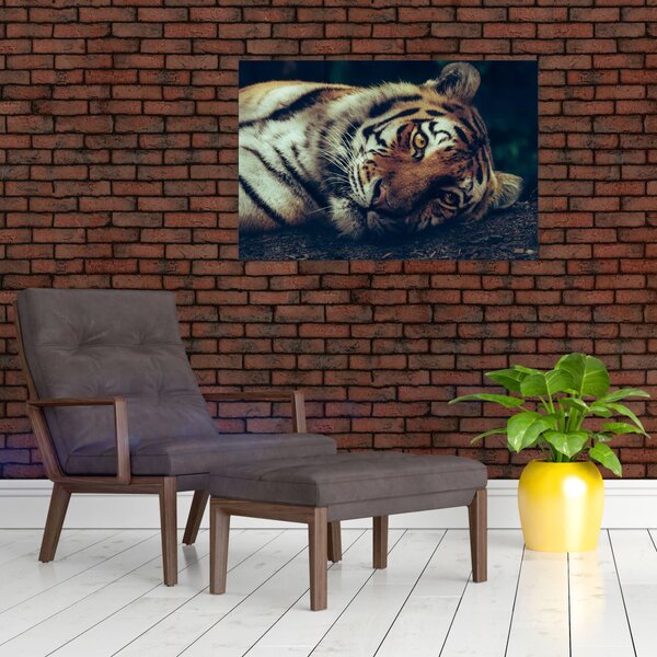 Slika - Sibirski tigar (90x60 cm)