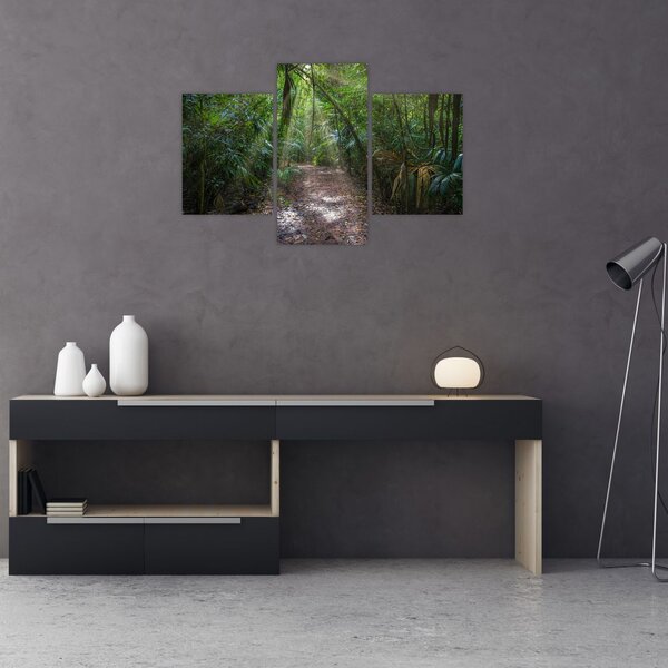 Slika - Sunčeve zrake u džungli (90x60 cm)
