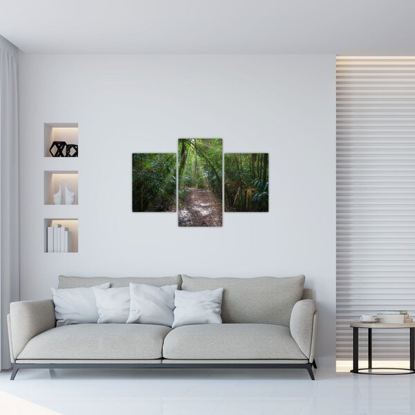 Slika - Sunčeve zrake u džungli (90x60 cm)