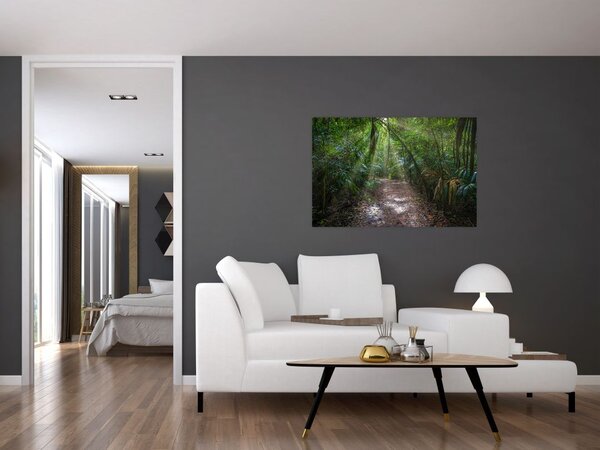 Slika - Sunčeve zrake u džungli (90x60 cm)