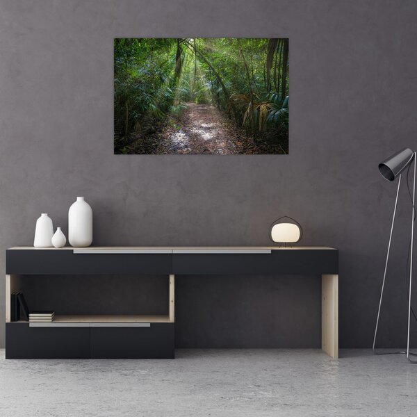 Slika - Sunčeve zrake u džungli (90x60 cm)