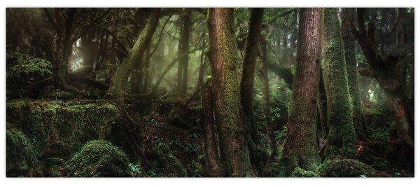 Slika - Tajanstvena šuma (120x50 cm)