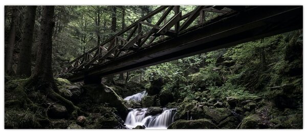 Slika crne šume (120x50 cm)