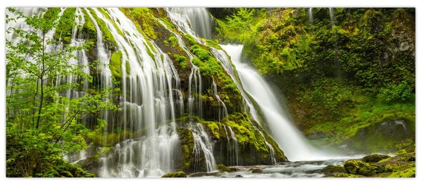 Slika - Slap, Wind River Valley (120x50 cm)