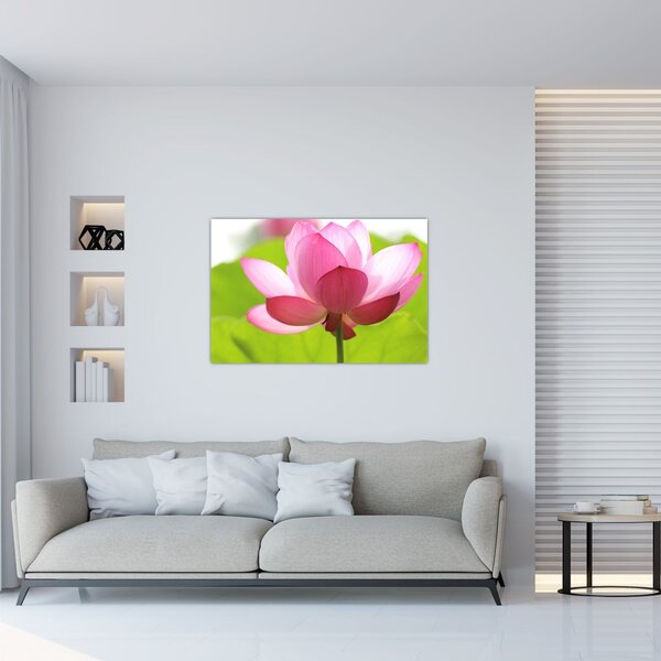 Slika cvijeta lotosa (90x60 cm)