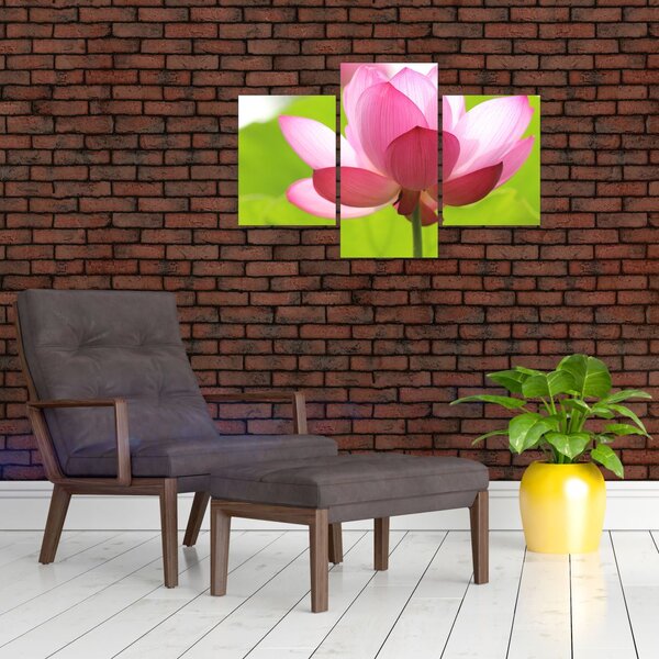 Slika cvijeta lotosa (90x60 cm)