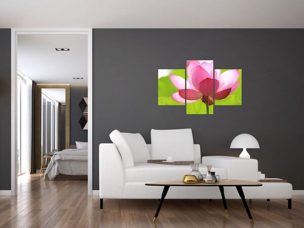 Slika cvijeta lotosa (90x60 cm)
