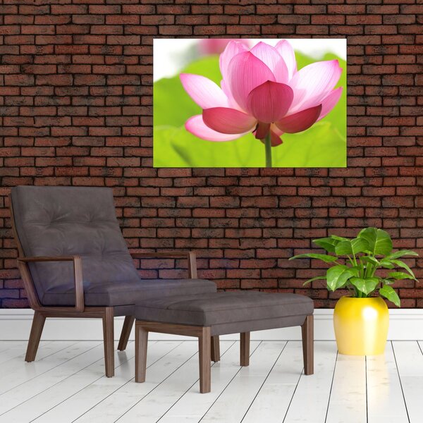 Slika cvijeta lotosa (90x60 cm)