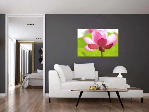 Slika cvijeta lotosa (90x60 cm)