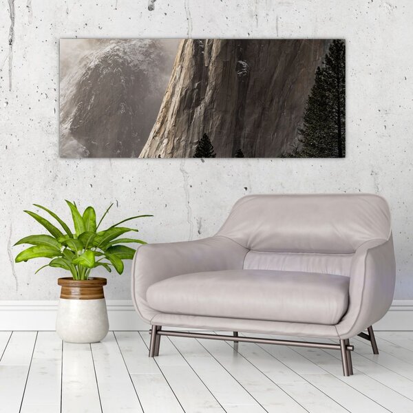 Slika doline nacionalnog parka Yosemite, SAD (120x50 cm)