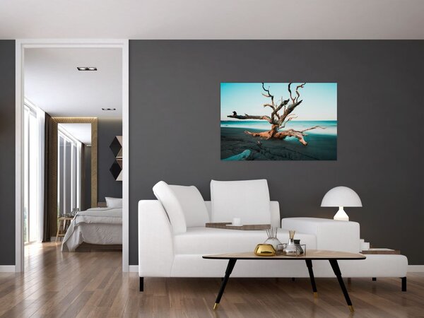Slika - Naplavine na plaži (90x60 cm)