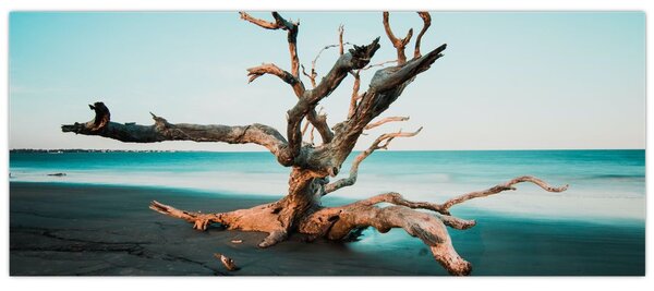 Slika - Naplavine na plaži (120x50 cm)