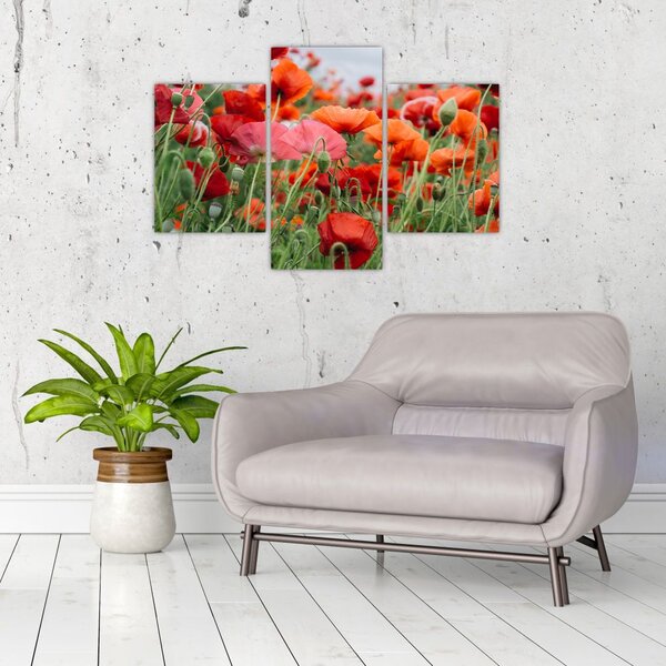 Slika polja maka (90x60 cm)