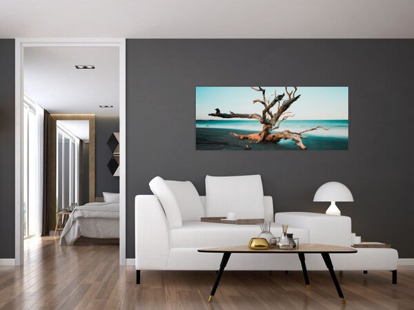 Slika - Naplavine na plaži (120x50 cm)