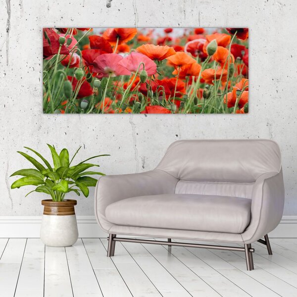 Slika polja maka (120x50 cm)