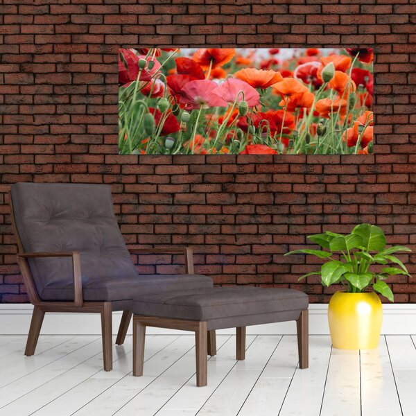 Slika polja maka (120x50 cm)