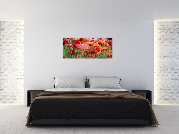 Slika polja maka (120x50 cm)