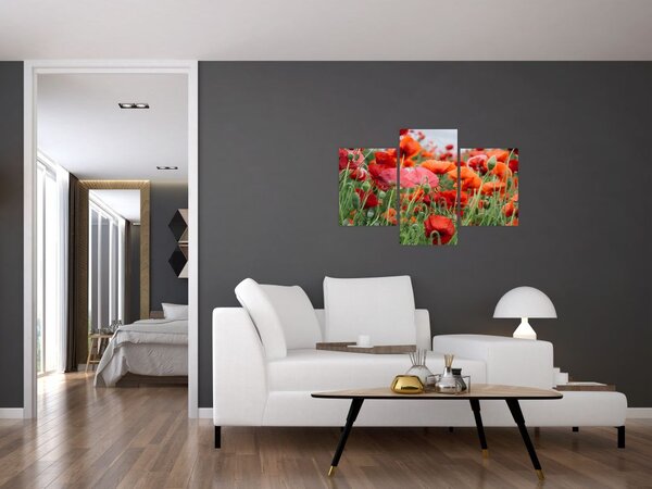 Slika polja maka (90x60 cm)
