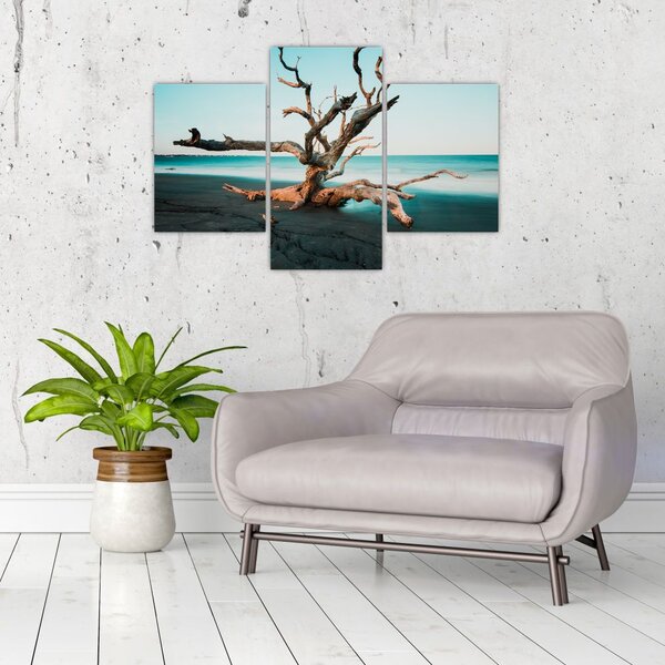 Slika - Naplavine na plaži (90x60 cm)