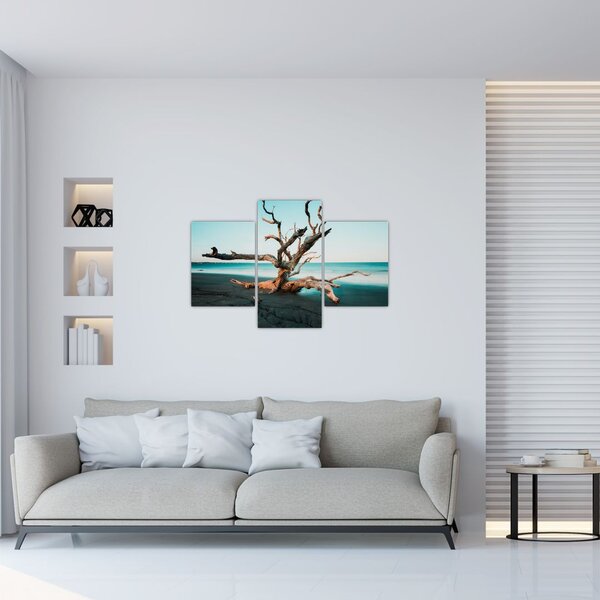 Slika - Naplavine na plaži (90x60 cm)