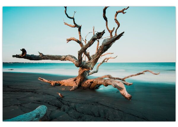 Slika - Naplavine na plaži (90x60 cm)