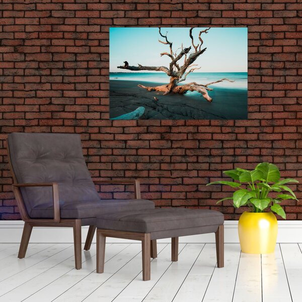 Slika - Naplavine na plaži (90x60 cm)