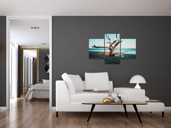 Slika - Naplavine na plaži (90x60 cm)