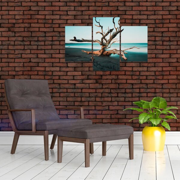 Slika - Naplavine na plaži (90x60 cm)