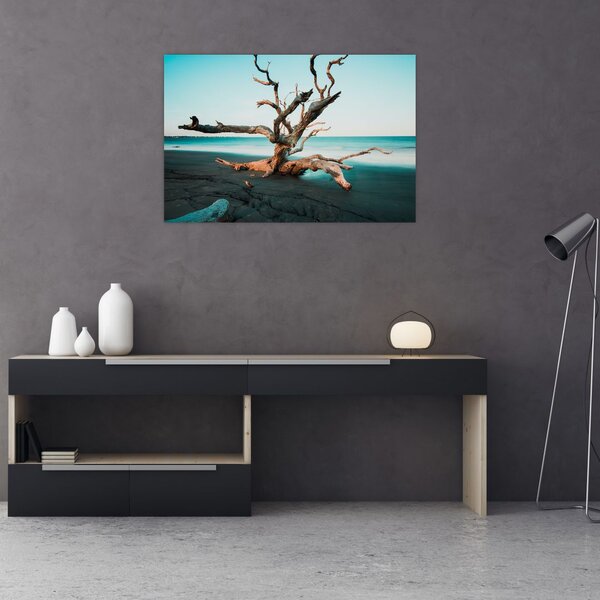 Slika - Naplavine na plaži (90x60 cm)