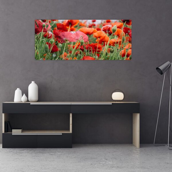 Slika polja maka (120x50 cm)
