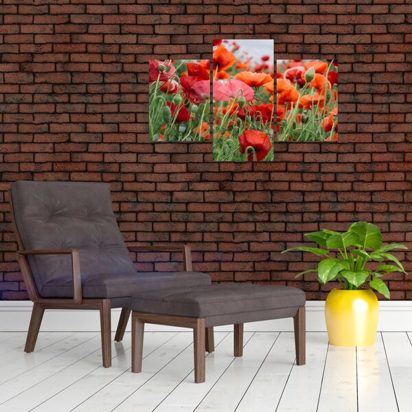 Slika polja maka (90x60 cm)
