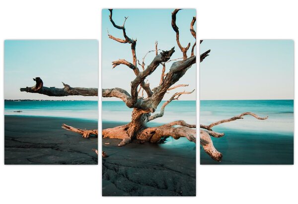 Slika - Naplavine na plaži (90x60 cm)