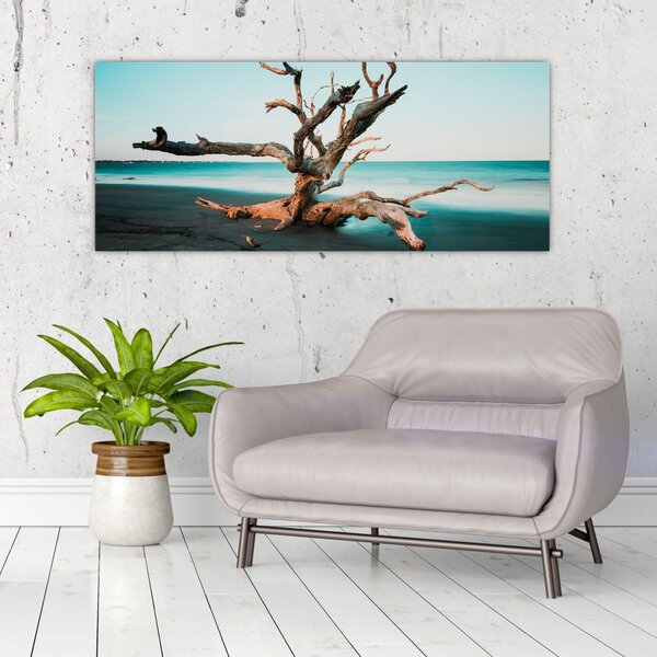 Slika - Naplavine na plaži (120x50 cm)