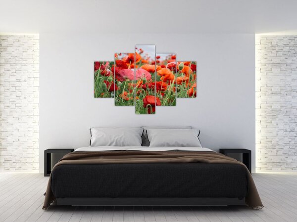 Slika polja maka (150x105 cm)