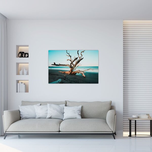 Slika - Naplavine na plaži (90x60 cm)