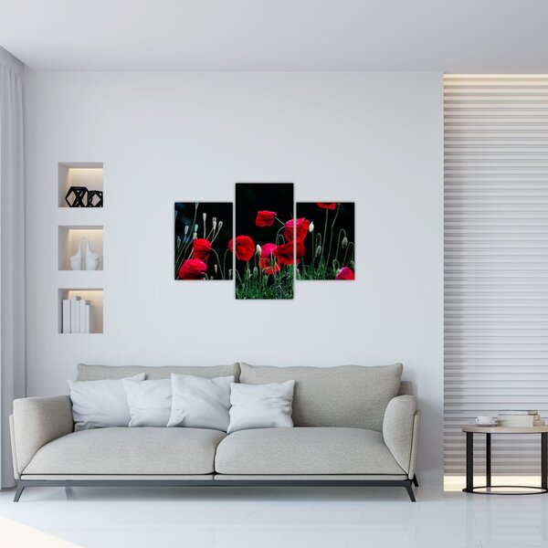Slika - Ples makova (90x60 cm)