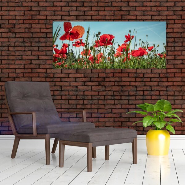 Slika - Na polju makova (120x50 cm)