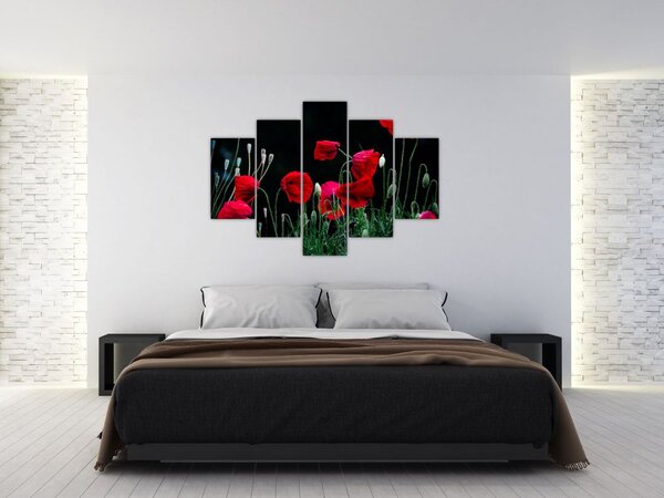 Slika - Ples makova (150x105 cm)