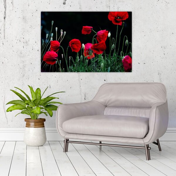 Slika - Ples makova (90x60 cm)