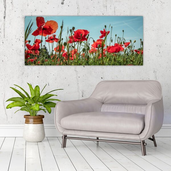 Slika - Na polju makova (120x50 cm)