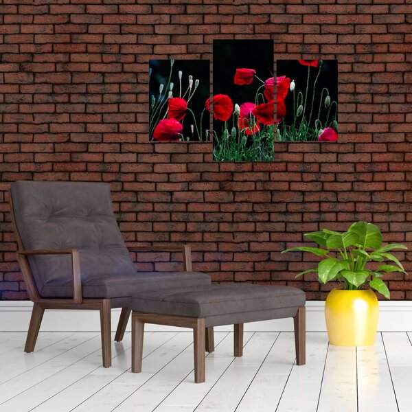 Slika - Ples makova (90x60 cm)