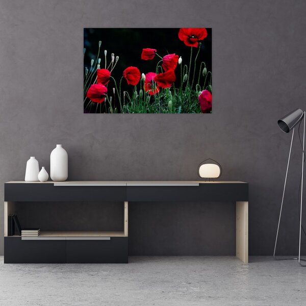 Slika - Ples makova (90x60 cm)
