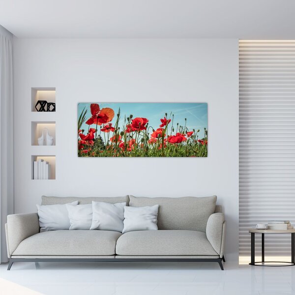 Slika - Na polju makova (120x50 cm)