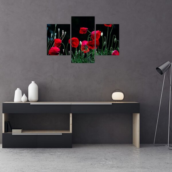 Slika - Ples makova (90x60 cm)