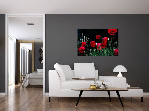 Slika - Ples makova (90x60 cm)