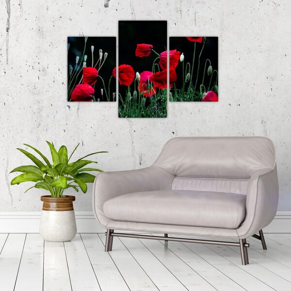Slika - Ples makova (90x60 cm)