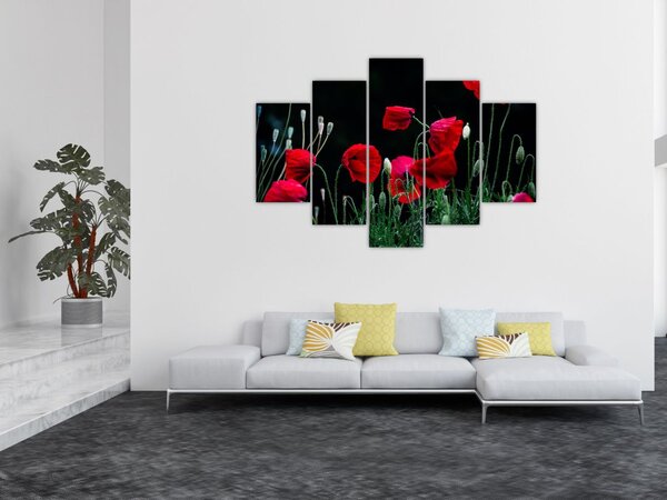 Slika - Ples makova (150x105 cm)