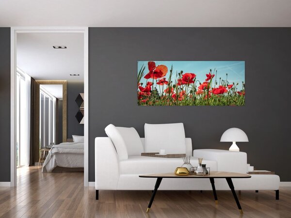 Slika - Na polju makova (120x50 cm)