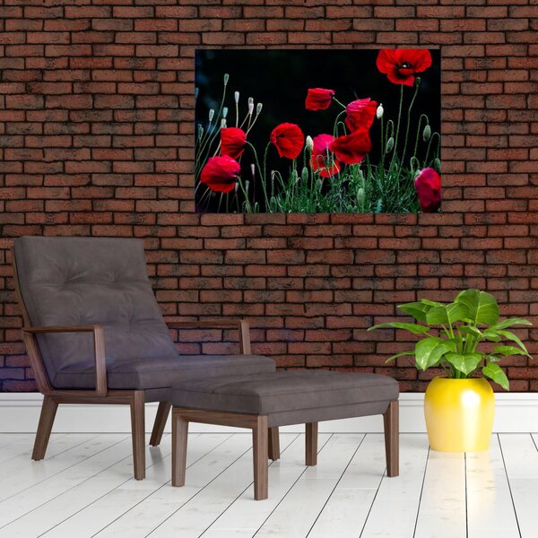 Slika - Ples makova (90x60 cm)